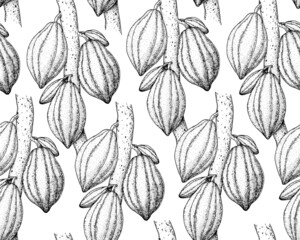 Seamless pattern. Cocoa pods pattern vector illustration. Hand drawn cocoa tree sketch. Vintage Design Background. Cacao beans. Vintage illustration.