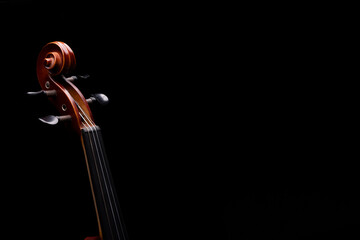 A scroll and pegs of a wooden violin or viola on a black background
