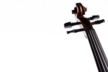 A scroll and pegs of a wooden violin or viola on a white background