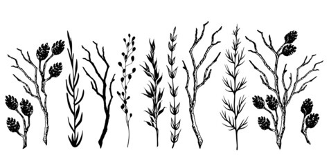 Set of black and white decorative branches. Hand drawn vector illustration.