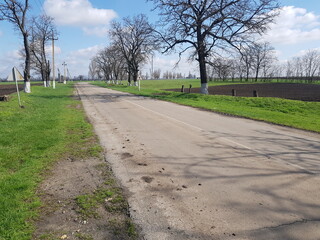Spring road in the village