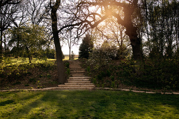 stair path in the park