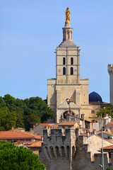 Avignon Cathedral