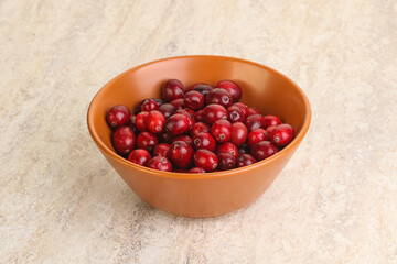 Ripe sweet tasty cranberry in the bowl