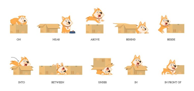 Preposition. English prepositions, learning beside above behind with cute cartoon dog. Materials for study, funny puppy activities with box decent vector poster