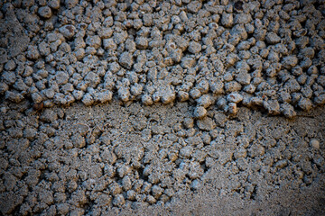 Expanded clay concrete texture. Light gray relief plaster, consisting of expanded clay stones. Abstract background