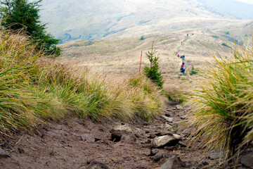 Piękny jesienny krajobraz na wzgórza i góry podczas pieszej wycieczki © mirame111