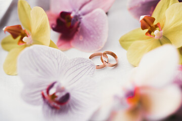 Fototapeta na wymiar Two golden wedding rings isolated background concept