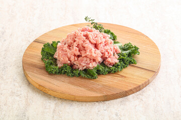 Raw pork minced meat for cooking