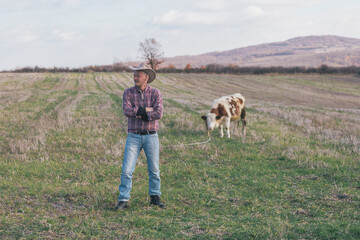 Rancher and his cows on pasture