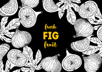 Fig fruit hand drawn package design. Vector illustration. Design, package, brochure illustration. Packaging design. Hand drawn fig fruits design template. Organic fresh food vector illustration.