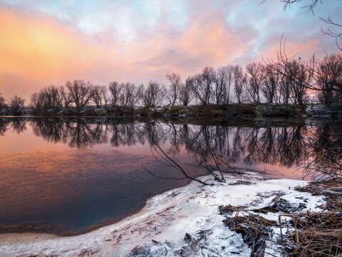 Morning in pink tones on the river starting to freeze. Trees on the shore