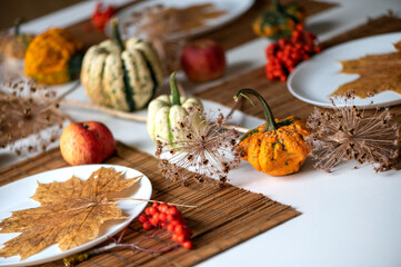 small pumpkins and dry brown maple leafs on white plates, autumn dinner table decors