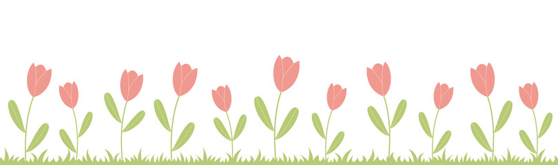 Illustration of pink tulips isolated on white background. Garden with flowers and grass.