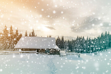 Beautiful winter landscape. Wooden shepherd hut on mountain snowy clearing among pine trees on cloudy sky copy space background. Happy New Year and Merry Christmas card.