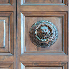 bas-relief of a lion's head in mahogany. The concept of strength, power. Isolated on white background