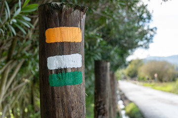 Naklejka premium Close-up to a wooden post with stripes painted in orange, white and green colors. It is used to mark paths and trails in nature.