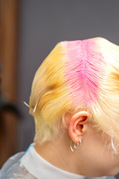 Young caucasian woman tints hair roots in pink color in a beauty salon.