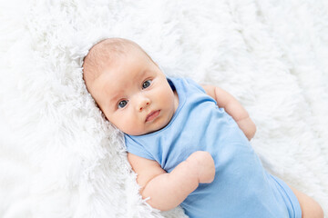 portrait of a cute baby boy three months old in a blue bodysuit on a white bed at home