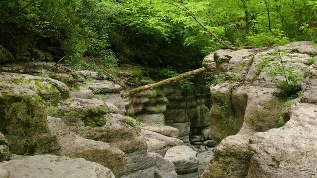 Caucasus. A flight in the Navalishinsky canyon over the Khosta mountain river. Subtropical forest.