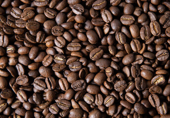 coffee beans background