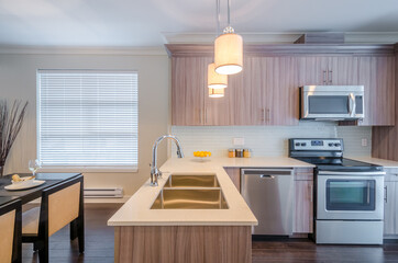 Modern, bright, clean, kitchen interior with stainless steel appliances in a luxury house