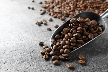 Metal scoop with roasted coffee beans on grey table, closeup. Space for text