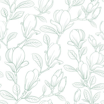 Magnolia seamless pattern on white background.