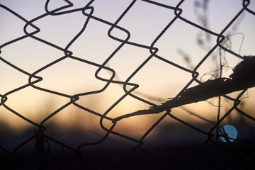Iron mesh against evening sky