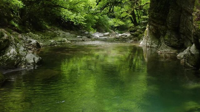 Caucasus. A flight in the Navalishinsky canyon over the Khosta mountain river. Subtropical forest.