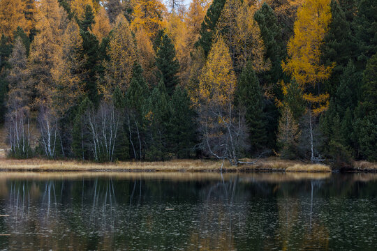 Herbst am See