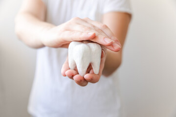 Health dental care concept. Woman hand holding white healthy tooth model isolated on white background. Teeth whitening, dental oral hygiene, teeth restoration, dentist day.