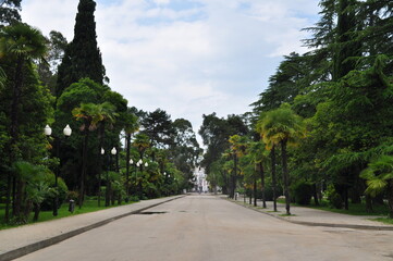 A street in Sukhumi, capital of Abkhazia.