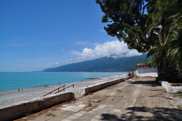 Fototapeta premium The coast of Gagra, a city in Abkhazia.