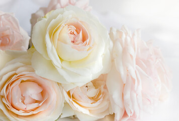 A blurry, soft focus background of a bouquet of vintage peach pink roses. Valentine's day,wedding, romantic date concept. 