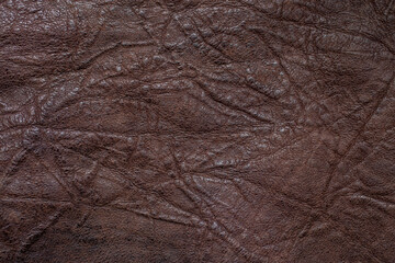 brown leather texture, close up.
Wrinkled leather 