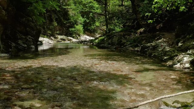 Caucasus. A flight in the Navalishinsky canyon over the Khosta mountain river. Subtropical forest.