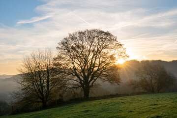 Fototapeta premium Bergisches Land, Odenthal, Germany