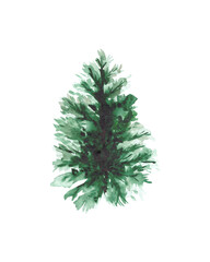 Green herringbone isolated on a white background. Watercolor drawing of a Christmas tree for the design of greeting cards and greetings.
