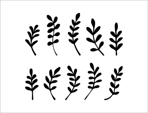 Set of black branches in the style of doodle. Leaf pickle isolated on white background. Vector image. Element for design.