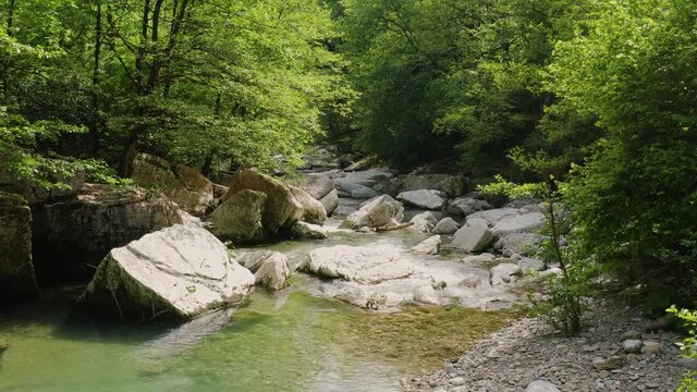 Caucasus. A flight in the Navalishinsky canyon over the Khosta mountain river. Subtropical forest.
