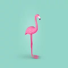 Badkamer foto achterwand Pink flamingo bird on pastel turquoise background. © Jovica Varga