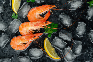 Tiger prawns with ice, lemon and parsley on dark background. Flat lay, copy space