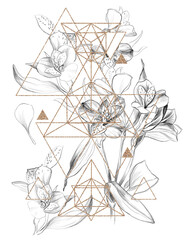 Black hand drawn lilies with gold geometry no white background