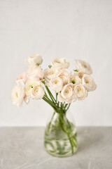 Spring background, flower Wallpaper. Persian buttercup. Bunch pink ranunculus flowers on light gray background. Vase on vintage wooden table. Wallpaper