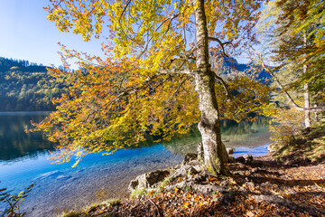 Idyllic mountain lake Leopoldsteinersee in Austria