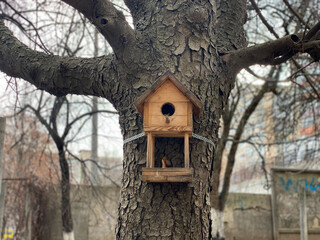 bird house in the forest. bird house on tree. wooden bird house.