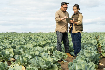 Serious busy multiethnic agroengineers standing on platation and using tablet while discussing...