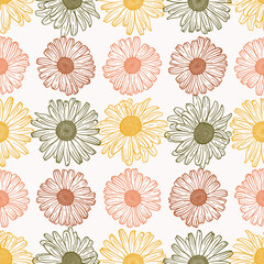 Seamless Floral Vector Pattern. Background of Outline Vintage Daisy (Chamomile, Camomile) Flowers. Hand drawn Flower Sketch Wallpaper. 