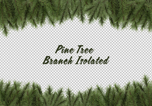 Christmas Branch Pine Tree Isolated Mockup